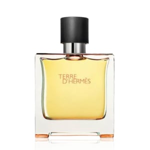 Hermes - Terre D'Hermes