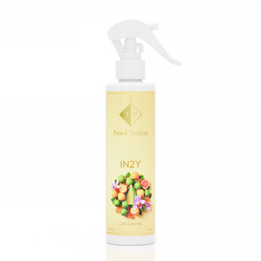 Car&Home Perfume No. 529 - IN2Y